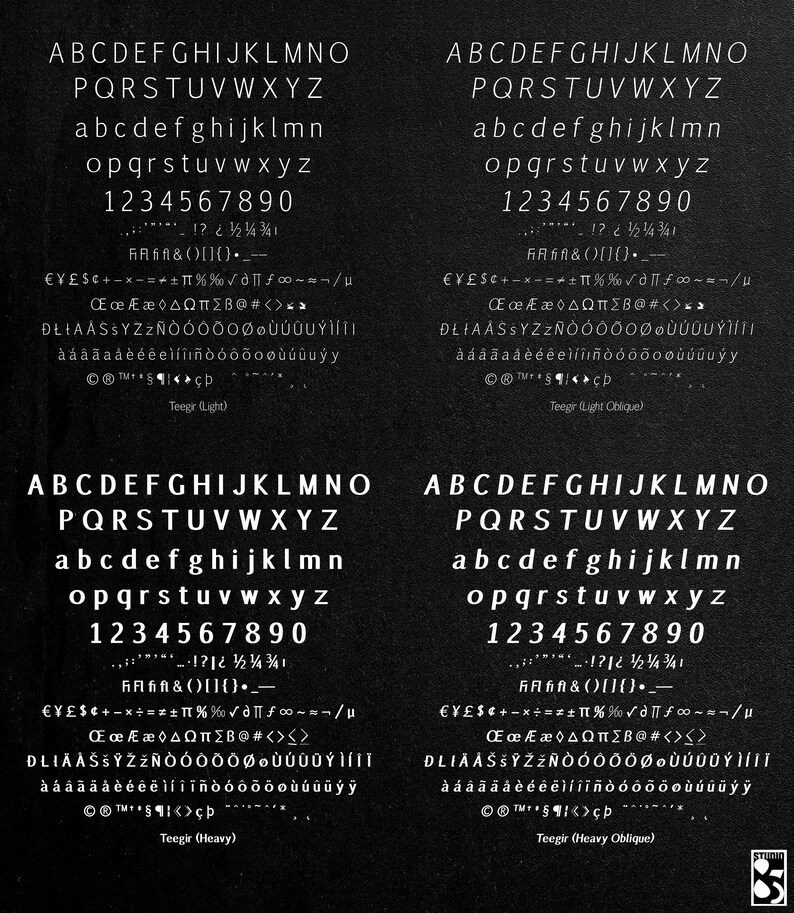 Teegir Pro 24 Fonts Sans Serif Font. OTF, TTF and WOFF format. For print, digital, web. image 4