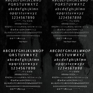 Teegir Pro 24 Fonts Sans Serif Font. OTF, TTF and WOFF format. For print, digital, web. image 3