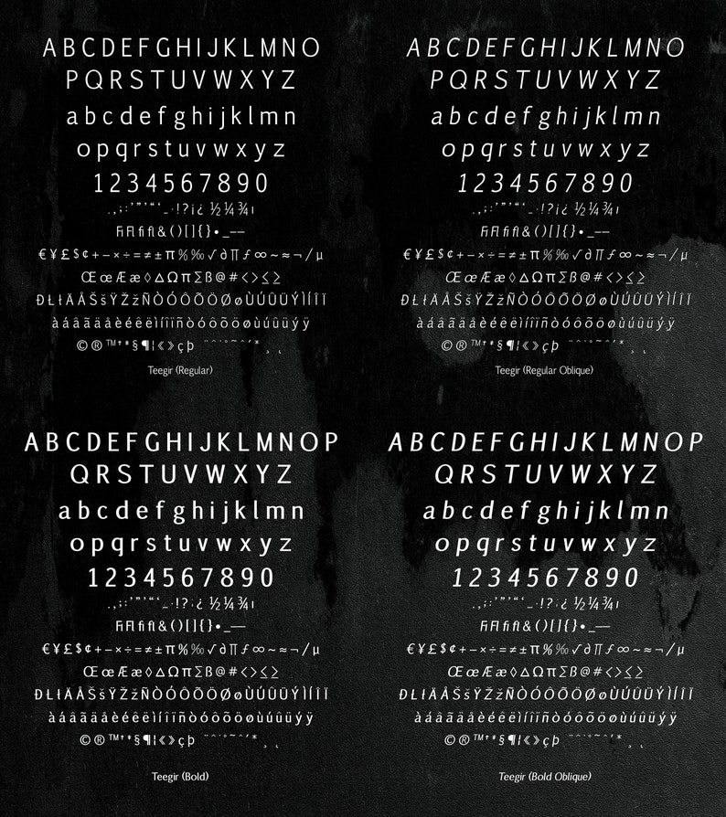 Teegir Pro 24 Fonts Sans Serif Font. OTF, TTF and WOFF format. For print, digital, web. image 3