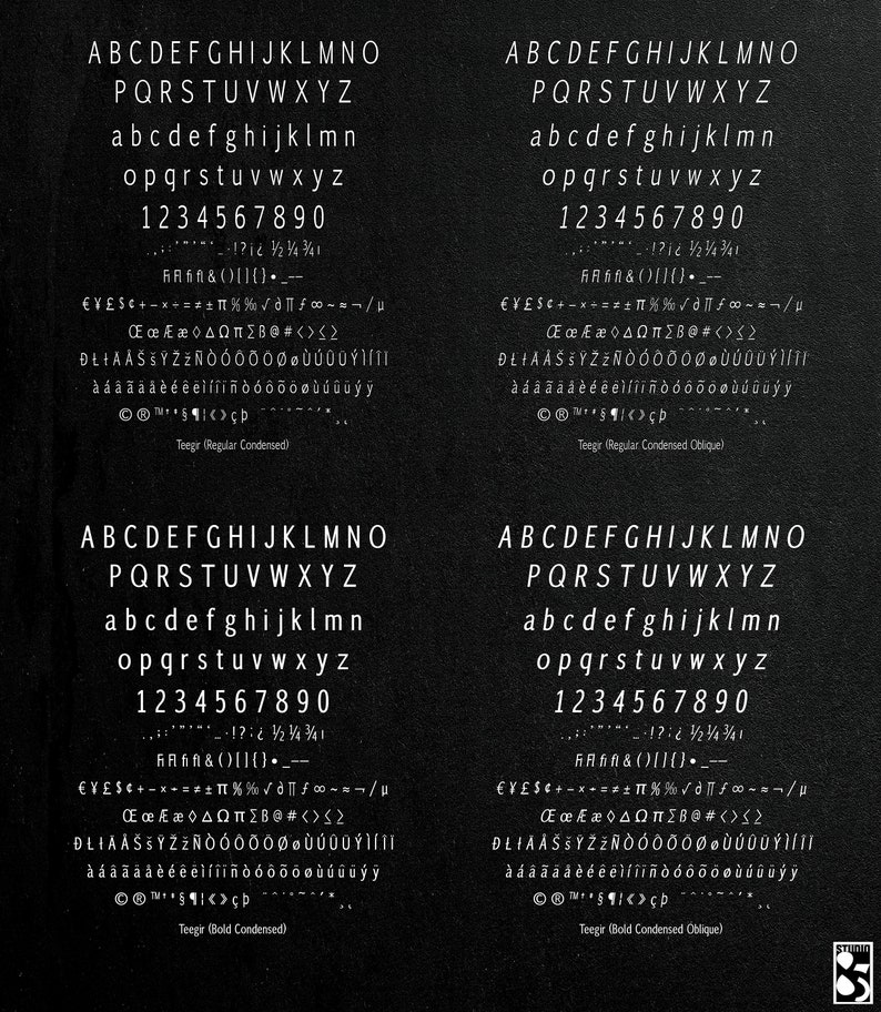Teegir Pro 24 Fonts Sans Serif Font. OTF, TTF and WOFF format. For print, digital, web. image 6