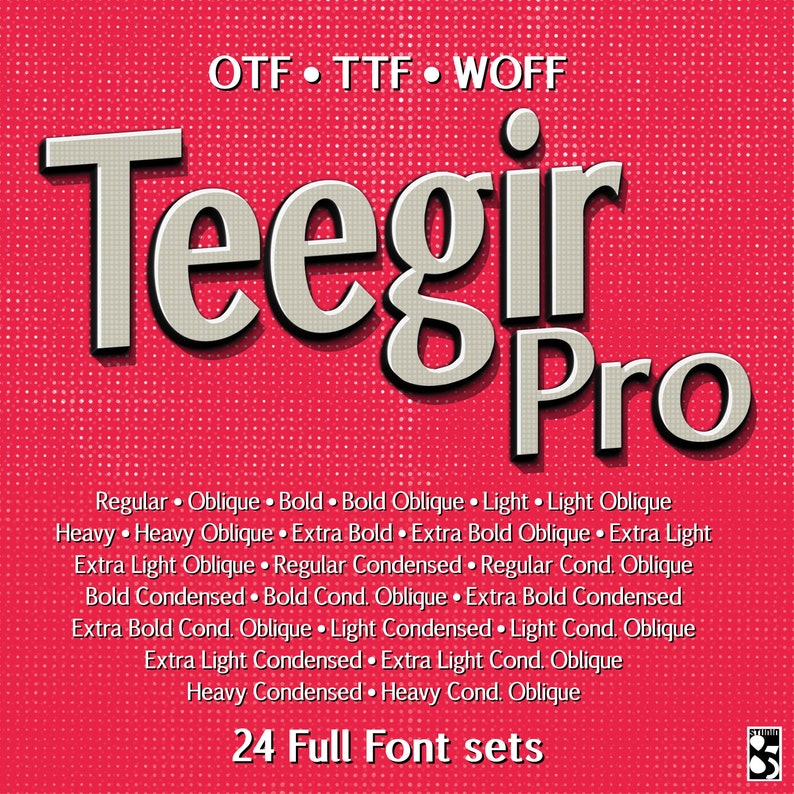 Teegir Pro 24 Fonts Sans Serif Font. OTF, TTF and WOFF format. For print, digital, web. image 1