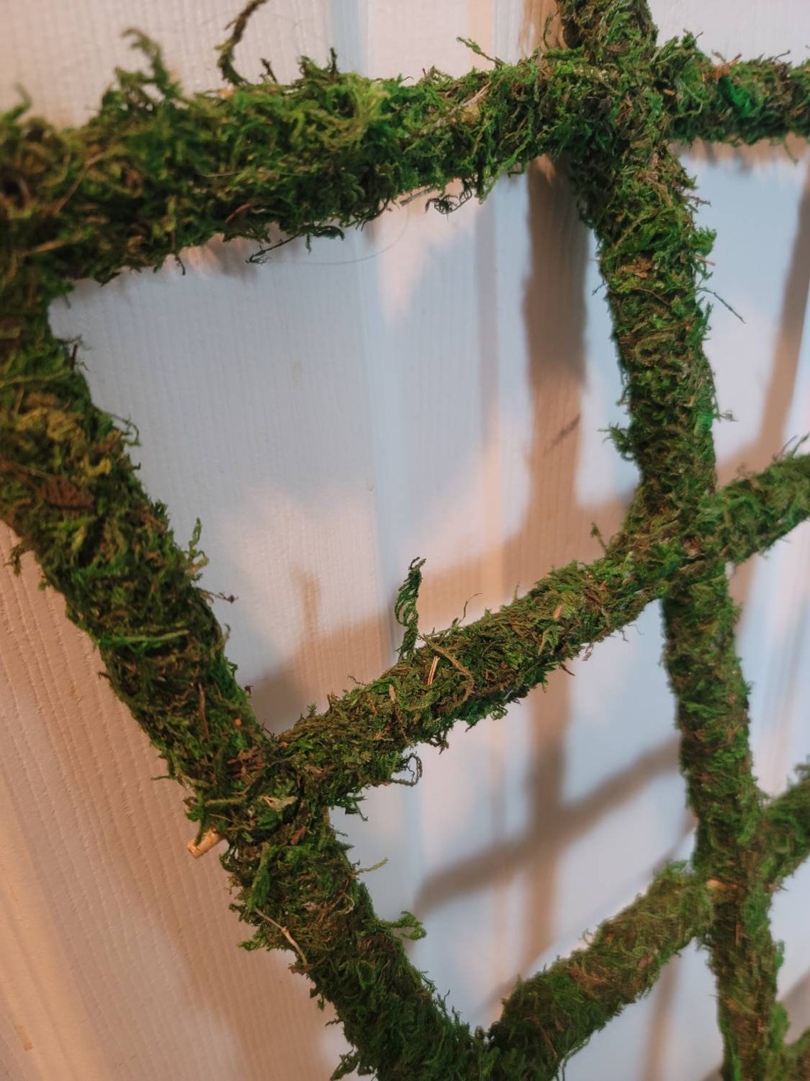 Moss Pole Trellis. 24 Inches Tall. FREE SHIPPING Etsy