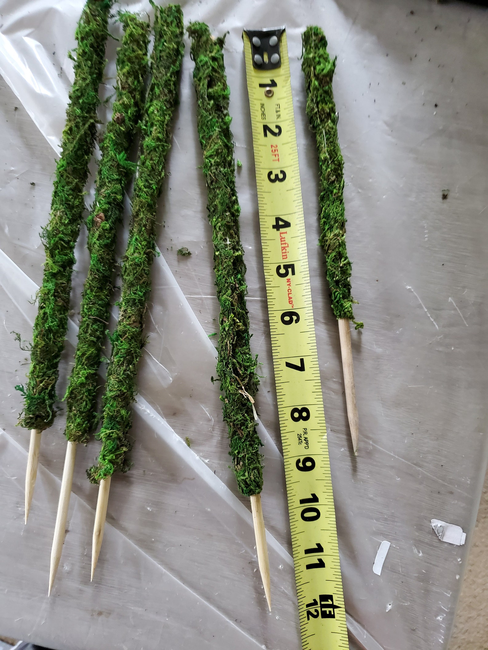 Mini Moss Poles 9 inch 12 inch and 16 inch 2Packs Etsy