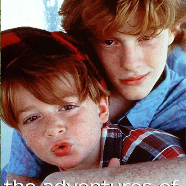 The Adventures of Pete and Pete The Complete Series DVD Set