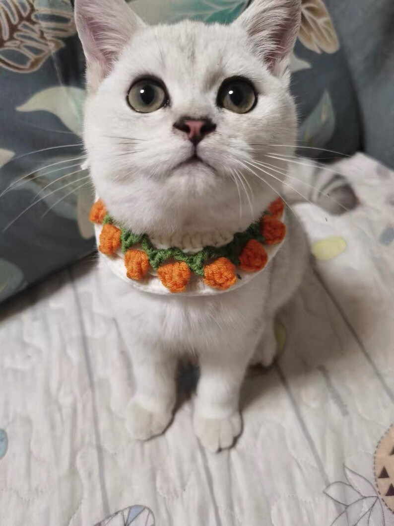 Crochet Tulip Pet Collar