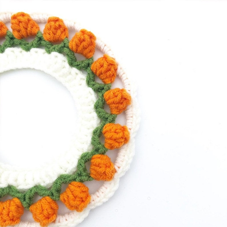 Crochet Tulip Pet Collar