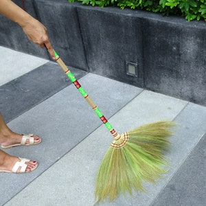bristle brush
