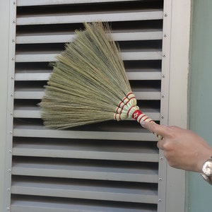 whisk broom