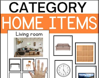 HOME ITEMS sorting with MAT for Autism and Special Education