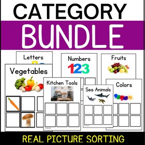 Category Matching Activity | Sorting Mat| Early Education| Special Education| Pre-Reader| Visual Discrimination| Speech Therapy| Preschool