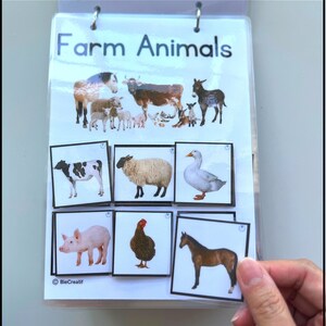 May include: A white board with the title "Farm Animals" at the top.  There are images of farm animals on the board, including a cow, sheep, duck, pig, chicken, and horse.  The images are in black and white frames.