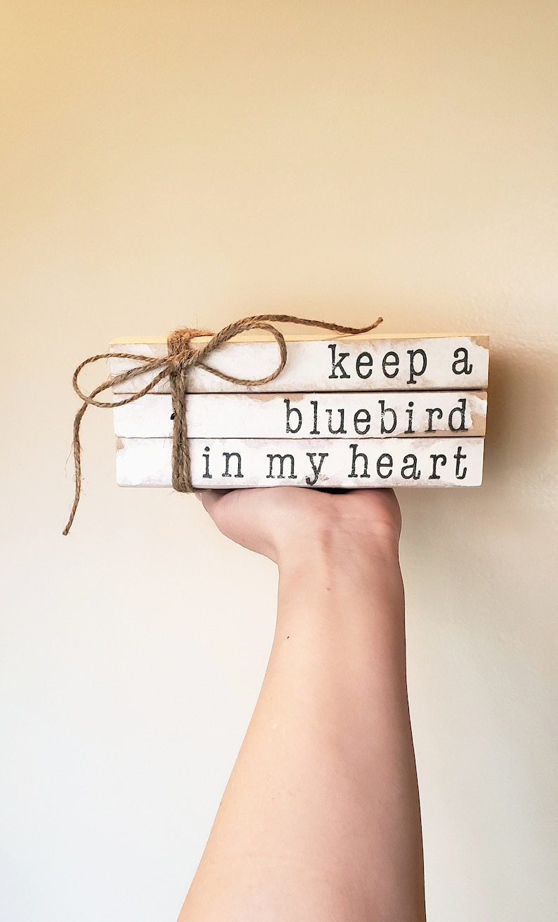 Libros con sellos de Miranda Lambert Bluebird, guarda un pájaro azul en tu corazón, regalo de esperanza, regalo de aliento, libros con sellos, libros apilados imagen 1