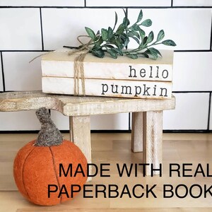 May include: A decorative fall-themed display featuring a small orange pumpkin with a gray stem, a stack of books with the words "hello pumpkin", and greenery. The books are tied with twine and rest on a small wooden stand. The text "MADE WITH REAL PAPERBACK BOOKS" is also visible.