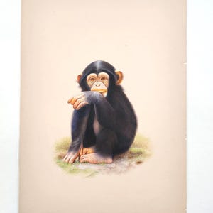Dipinto di animali selvatici per decorazioni murali, arazzo di animali, ritratto di scimpanzé, immagine originale di una scimmia, dipinto di una scena naturale per la fattoria