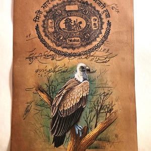 Dipinto di avvoltoi fatto a mano, uccelli in miniatura, arte naturalistica su carta / Uccelli adorabili come decorazione da parete, regalo / Galleria d'arte per amanti della natura