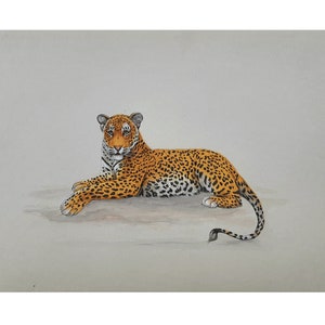 Wildlife Leopard  Indian miniature painting On paper l Big cat Artwork for wall décor l Hand Painted Animal Painting for Gift l Wildlife Art