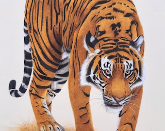 Pintura del Tigre Real de Bengala, Arte en Miniatura de Acuarela India, Gato Montés, Tigre Indio, Arte de Grandes Felinos, Bellas Pinturas de Vida Silvestre