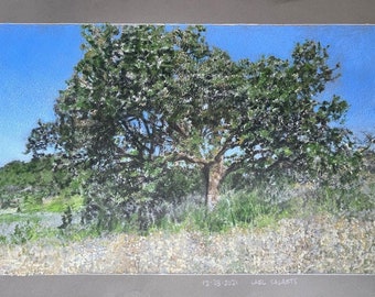 Oak Tree Drawing - Etsy