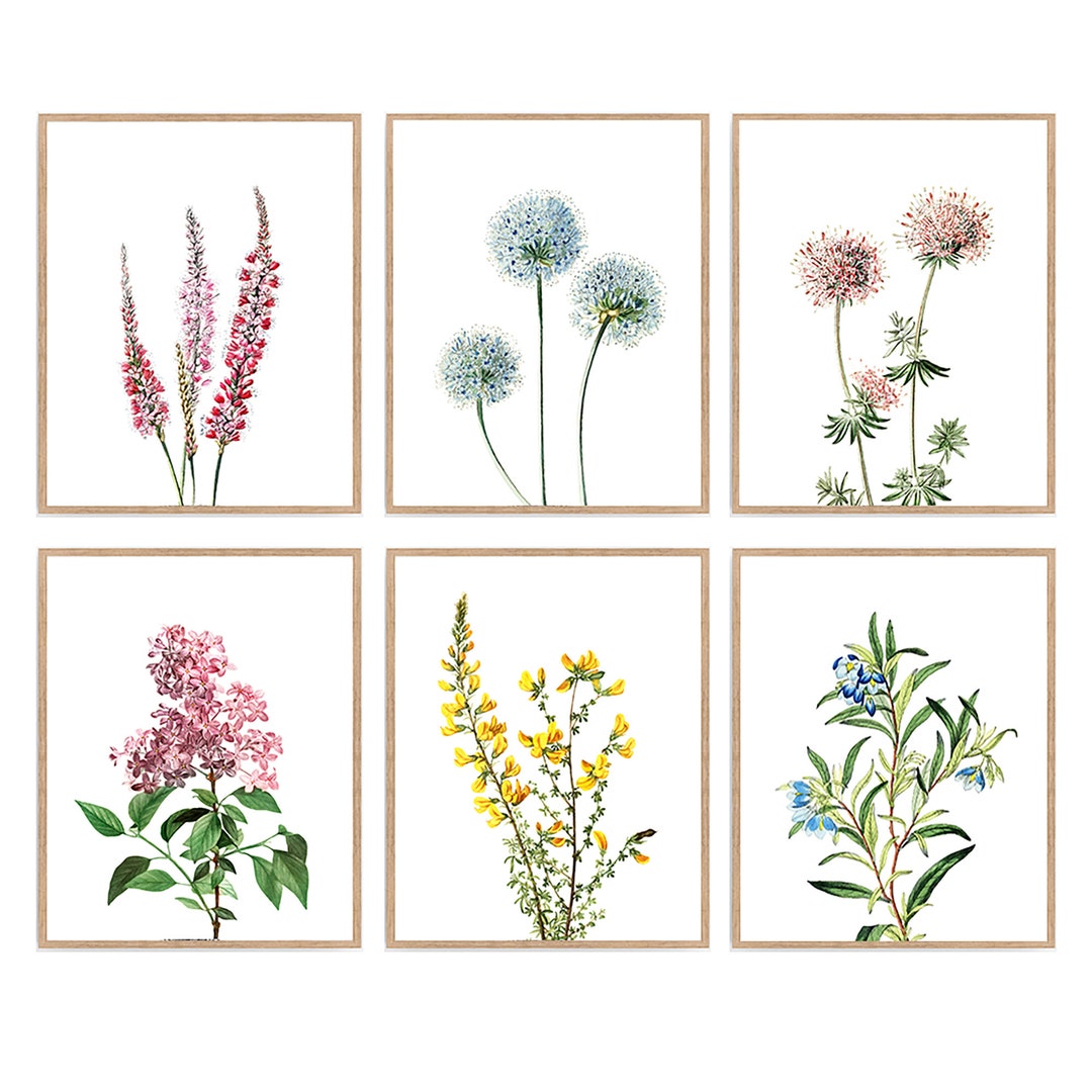 Set of 6 Wildflowers Botanical Print, Mountain Flowers Botanical Poster ...