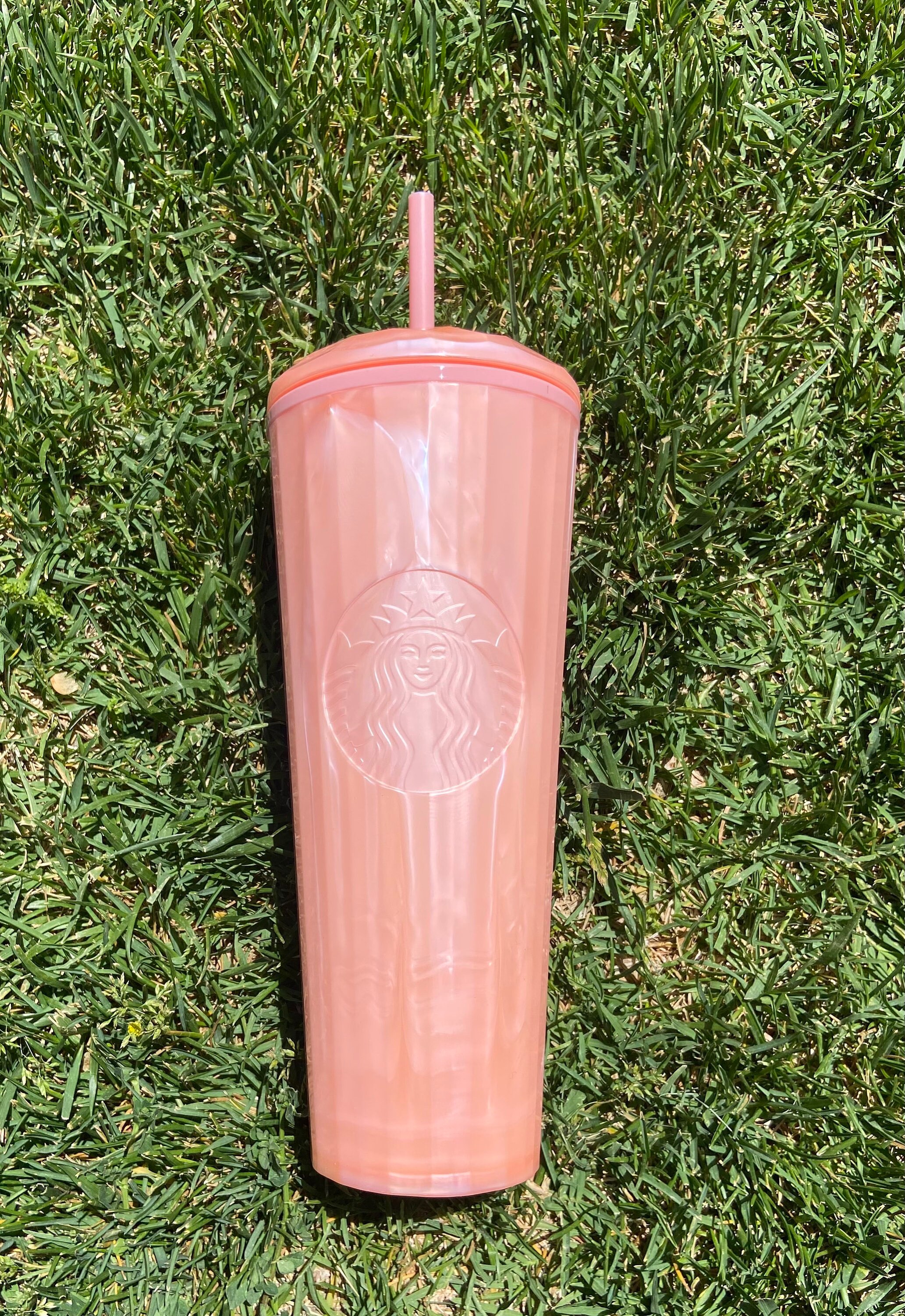 Pink Starbucks Tumbler 2024 Cati Mattie