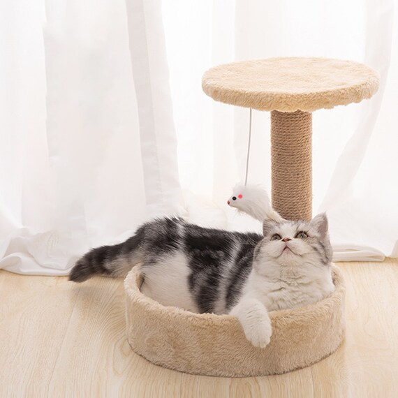 cute cat furniture