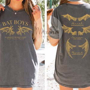 The Bat Boys Comfort Colors Tee, Vintage Acotar Shirt, Bookish Shirt, The Night Court Shirt, Illyrians, A Court of Thorn and Roses