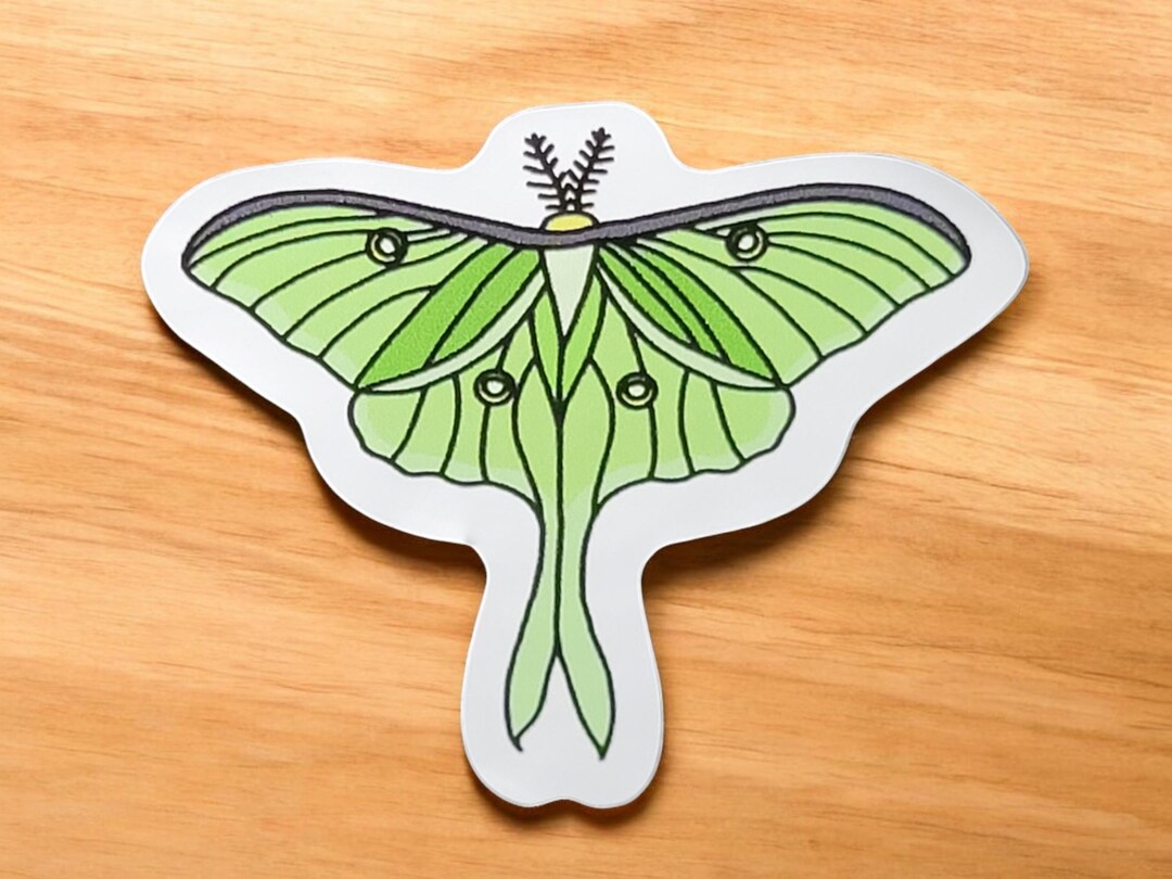Luna Moth Sticker, Insect Sticker for Water Bottle, Laptop, or ...