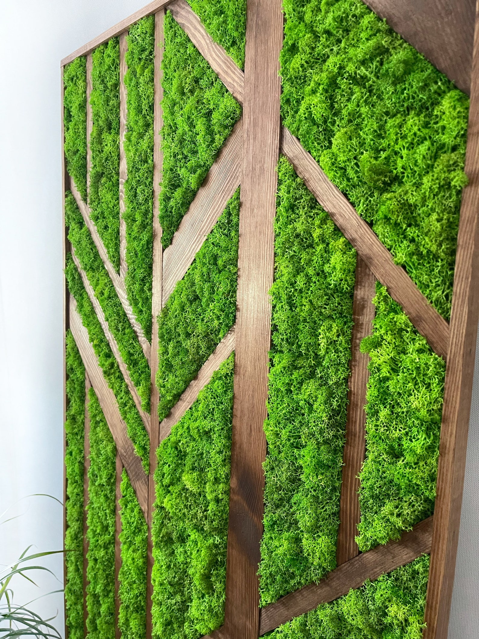 Moss Decoration. Wood Decoration. Moss Art. Wood Art. Natural