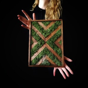 decorazione di muschio. Decorazione in legno. Moss Art. Wood Art. Decorazione naturale. muro di muschio. Immagine di muschio. immagine di legno. Home decor. muschio di renna