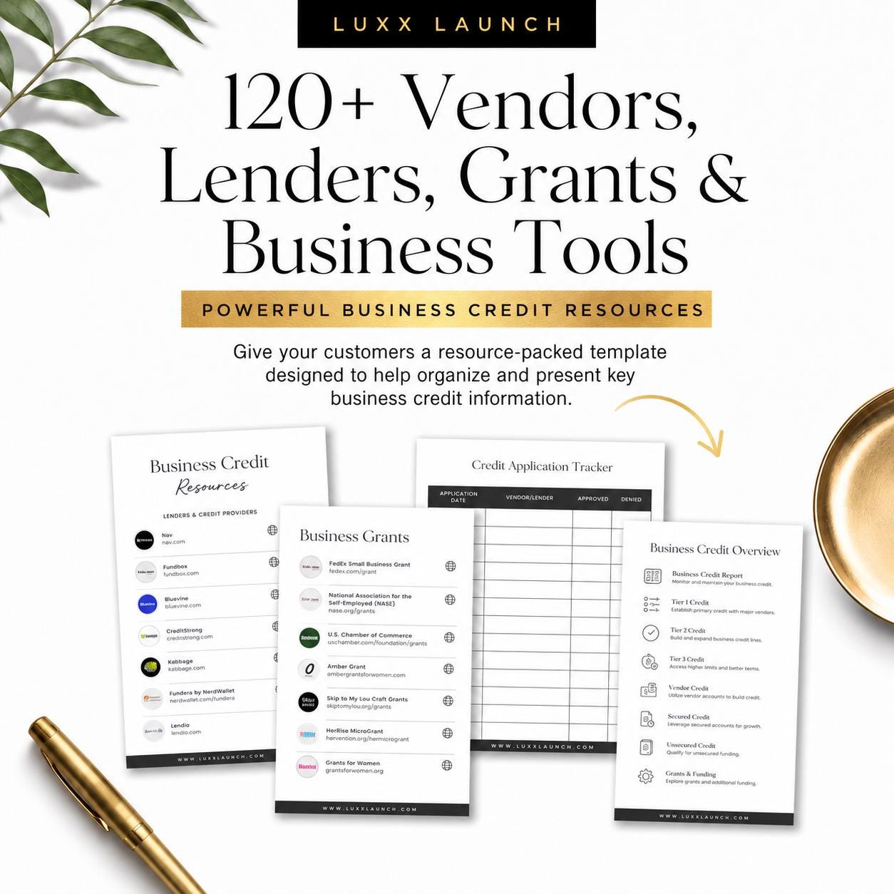 Rebrand and Resell Business Credit Guide | PLR White Label Business ...
