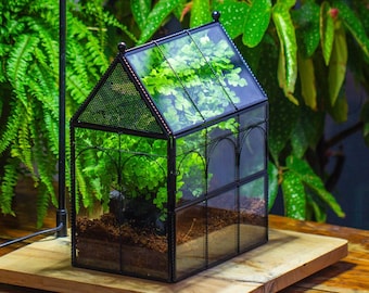 Kit de terrarium géométrique en verre en forme de maison en fil de fer torsadé fait main, terrarium araignée, terrarium araignée sauteuse/escargot, enclos araignée sauteuse