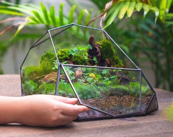Terrarium en verre géométrique irrégulier fait main, conteneur de jardinière de serre, terrarium en mousse, cadeau pour elle