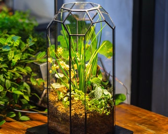 Handmade Vintage Tall Black Octagon Geometric Tin Glass Terrarium , 12.6", open, suitable for tall plants