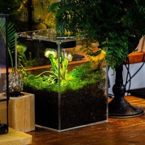 Wasserdichter Glasbehälter mit LED-Growth-Lampe, Acryldeckel, DIY-Pflanzmaterialset, Terrarium-Kit für fleischfressende Pflanzen, Lieferung weltweit