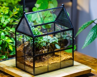 Handmade House Shape Glass Geometric Terrarium Kit, Spider Terrarium, Jumping Spider/Snail Terrarium, Mother's Day Gift