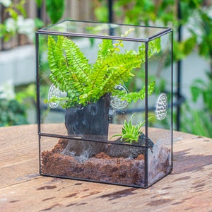 Handmade Close Geometric Glass Tin Terrarium with 3 Vents ,8x10" with Side Door,for Snail,Spider,Jumping Spider Enclosure, Mother's Day Gift