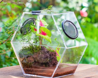 Handmade Geometric Terrarium, Large Octagon Glass Jump Spider Enclosure  With Mesh Vent for Plants, Snails, Insect Habitat, Desert Terrarium - Etsy