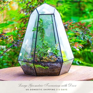 May include: A large geometric glass terrarium with a black metal frame and a hinged door. The terrarium contains a central upright green plant with variegated leaves, smaller red and green foliage, and dark soil, labeled Large Geometric Terrarium with Door.