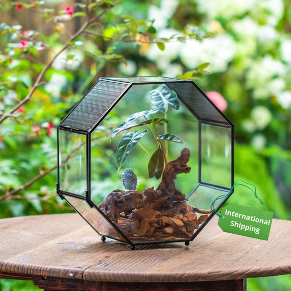 Handmade Geometric Terrarium, Large Octagon Glass Jump Spider
