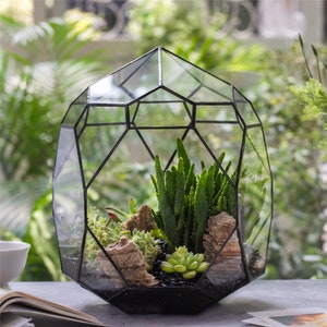 Handmade Irregular Open Glass Terrarium,Bubble Shape for Succulents Landscape Bonsai,Terrarium for Plants,Gift for Mom,Grandma Gift