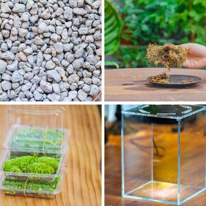 Watertight Glass Tank with LED Grow Lamp, Acrylic Lid, DIY Planting Material Set, Terrarium Kit for Carnivorous Plants, Ship to Worldwide bild 7