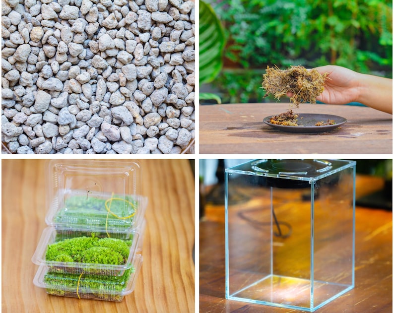 Watertight Glass Tank with LED Grow Lamp, Acrylic Lid, DIY Planting Material Set, Terrarium Kit for Carnivorous Plants, Ship to Worldwide bild 7
