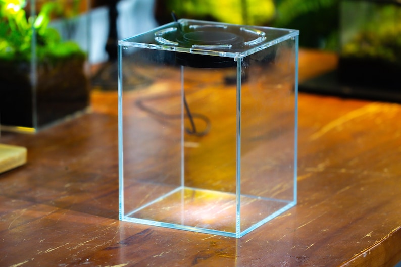 Watertight Glass Tank with LED Grow Lamp, Acrylic Lid, DIY Planting Material Set, Terrarium Kit for Tropical Plants, Plant Lover Gift