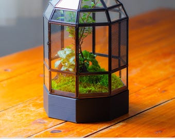May include: A glass terrarium with a black metal frame and a solid black hexagonal base. The enclosure features a dome-shaped top, side mesh ventilation panels, and a hinged door. Inside, green moss and small live plants are visible.