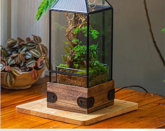 US Domestic Handmade Glass Terrarium with Wood Base, Spider Mantis Enclosure, with Mesh Vent for Plants, Small Insect Pet(Plant Excluded)