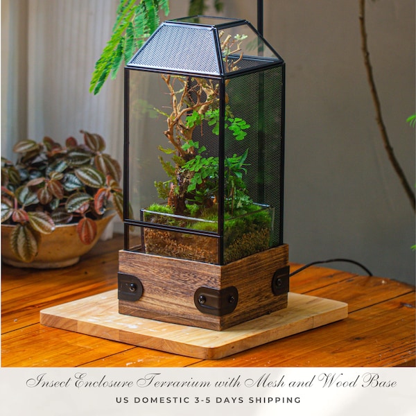 US Domestic Handmade Glass Terrarium with Wood Base, Spider Mantis Enclosure, with Mesh Vent for Plants, Small Insect Pet (Plant Excluded)
