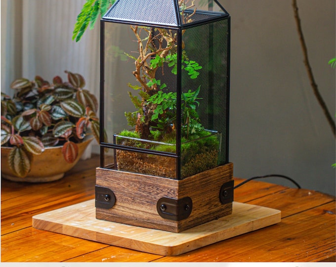 US Domestic Handmade Glass Terrarium with Wood Base, Spider Mantis Enclosure, with Mesh Vent for Plants, Small Insect Pet (Plant Excluded)