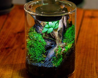 Bioloark - Bio Bottle ZD - Liquid Nature Bioloark BIO BOTTLE ZD200