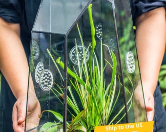 US Domestic Handmade Closed Extra Large Tall Irregular Glass Geometric Terrarium with Vents, 41cm/16&#39;&#39;, for Plants, Insects, Terrarium Only