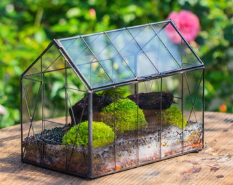 Handmade Vintage Greenhouse inspired tin and glass geometric terrarium Terraium, Close, for moss, fern, shade plants, micro landscape